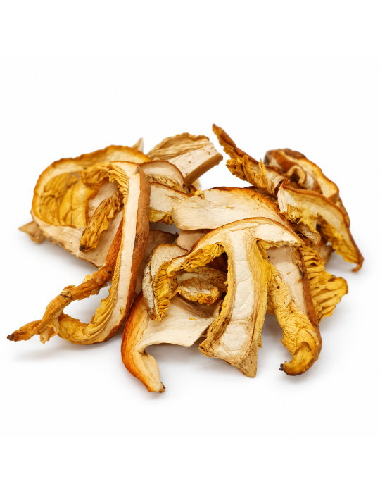 Amanita Caesarea Desidratada | Sabor Gourmet Exquisito