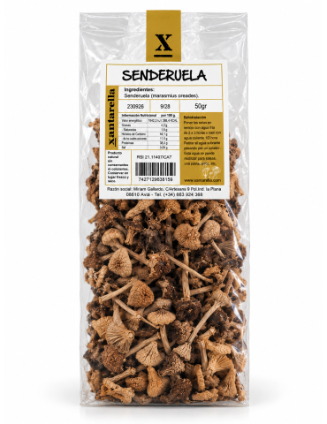 Dried Chanterelles - Gourmet Mushroom for Any Dish 2