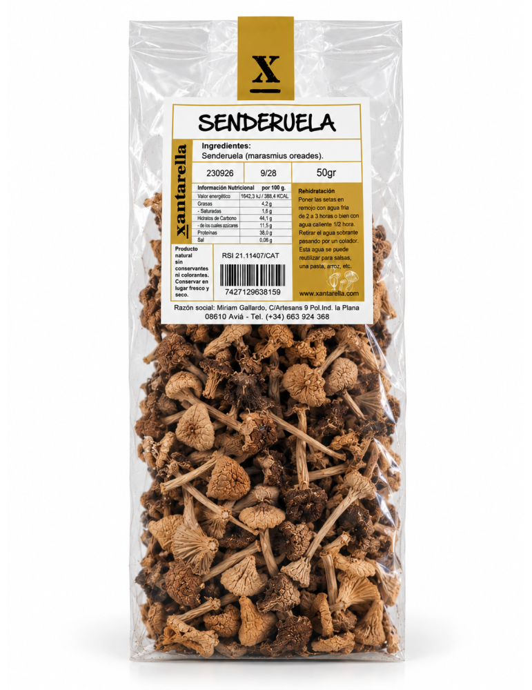 Senderuela deshidratada | Marasmius oreades de pie fino