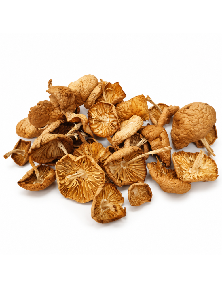 Dried Chanterelles - Gourmet Mushroom for Any Dish