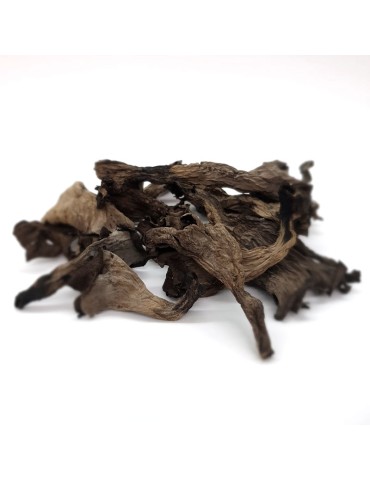 Trombeta da Morte Desidratada - Sabor Intenso e Único