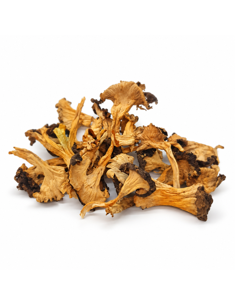 Dehydrierte Gelbhornschwamm - Naturgeschmack &...