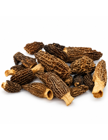 Morels Secos Gourmet de Qualidade Extra