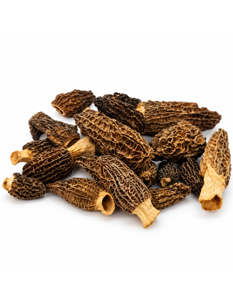 Colmenillas deshidratadas | Morchella conica entera alveolada primaveral
