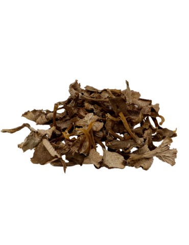 Trompeta gris deshidratada - Canthrellus tubaeformis | angula