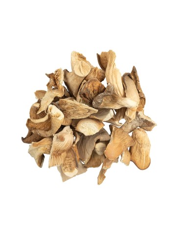 Cogumelos ostra desidratados | Sabor intenso e 100% natural