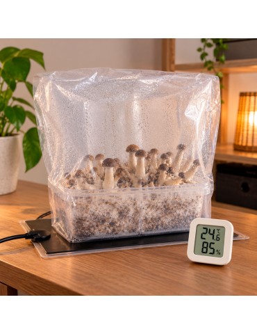Pack "Easy Grow" manta térmica + termohigrómetro 2