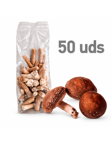 Micelio en pellet de Shiitake (50 uds) para cultivo de setas en troncos de madera.