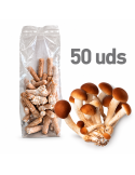 Micelio en pellet de A. aegerita (50 uds) para cultivo de setas en troncos de madera.