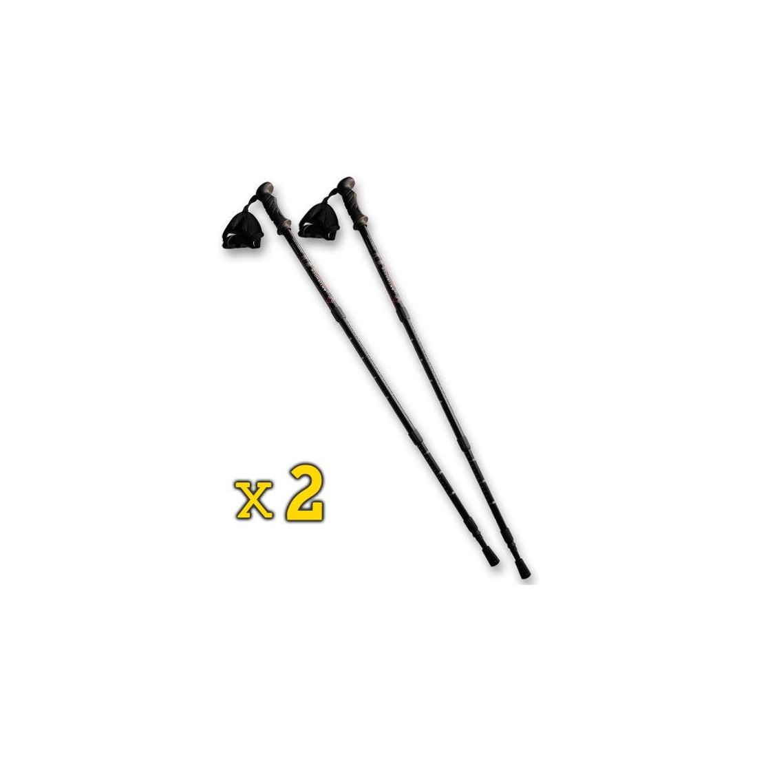 Pack x2 bâtons de marche noirs