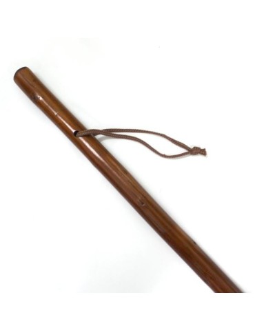 Wooden cane with compass 2