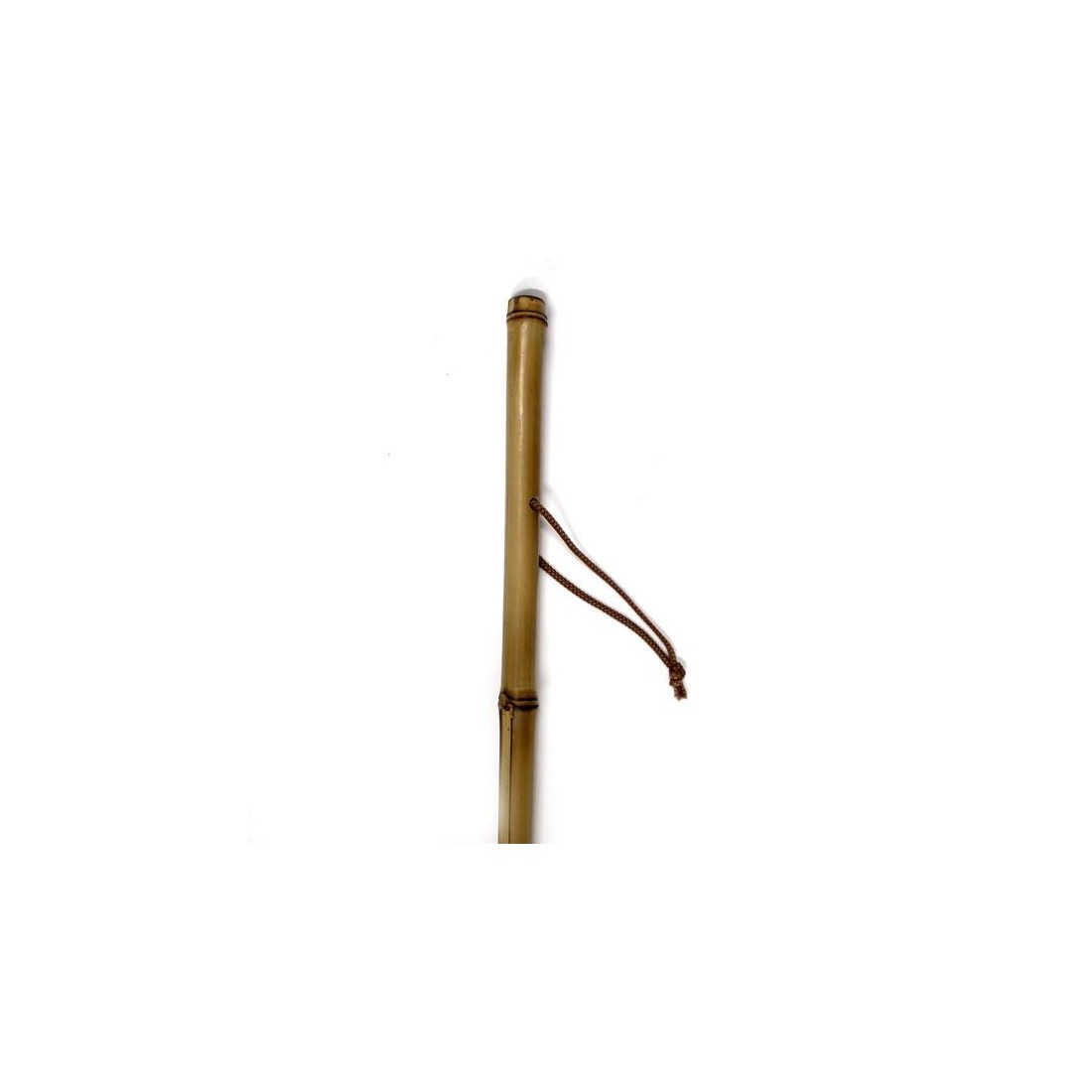 Bamboo cane for mushroom foraging