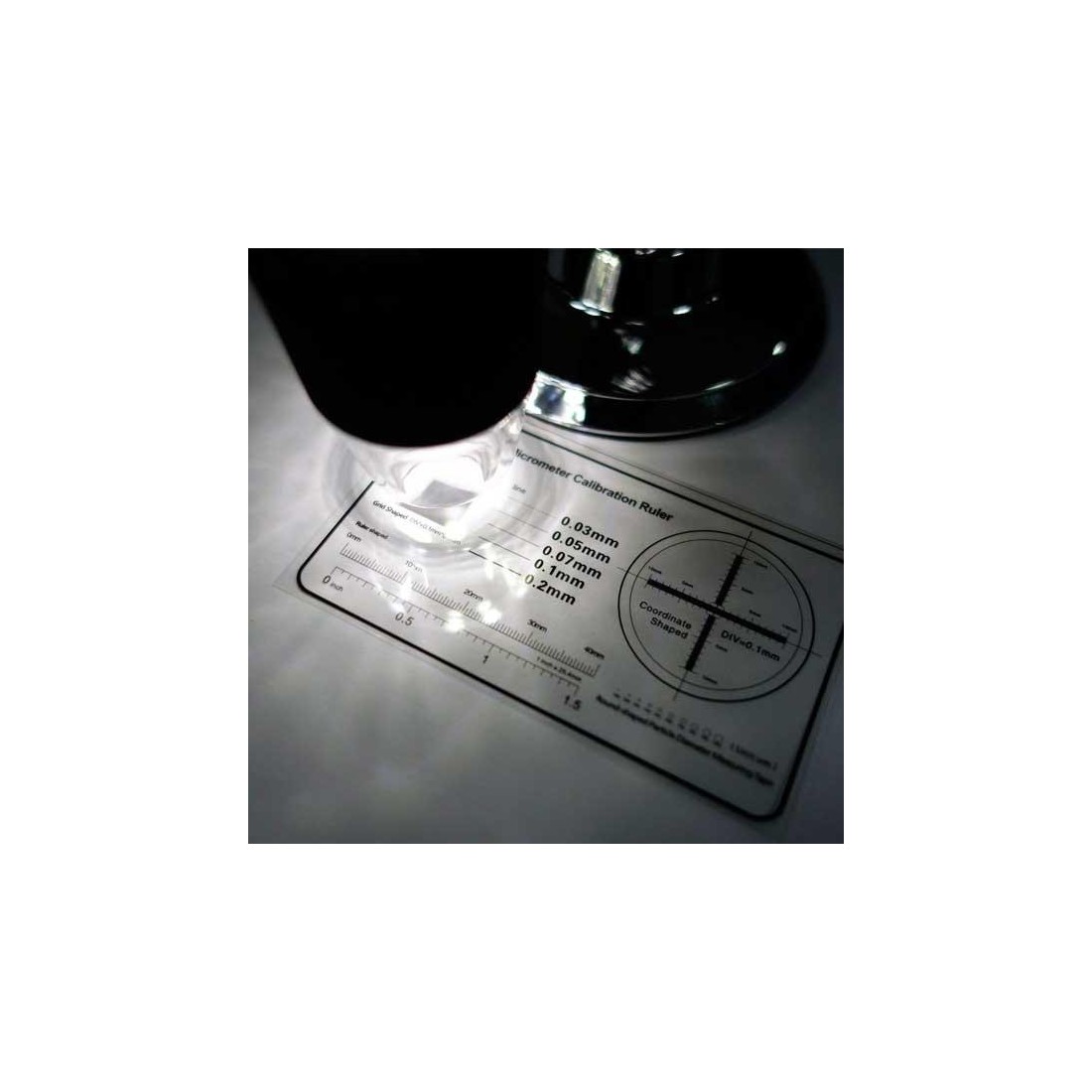 Microscopio USB digital 1000x