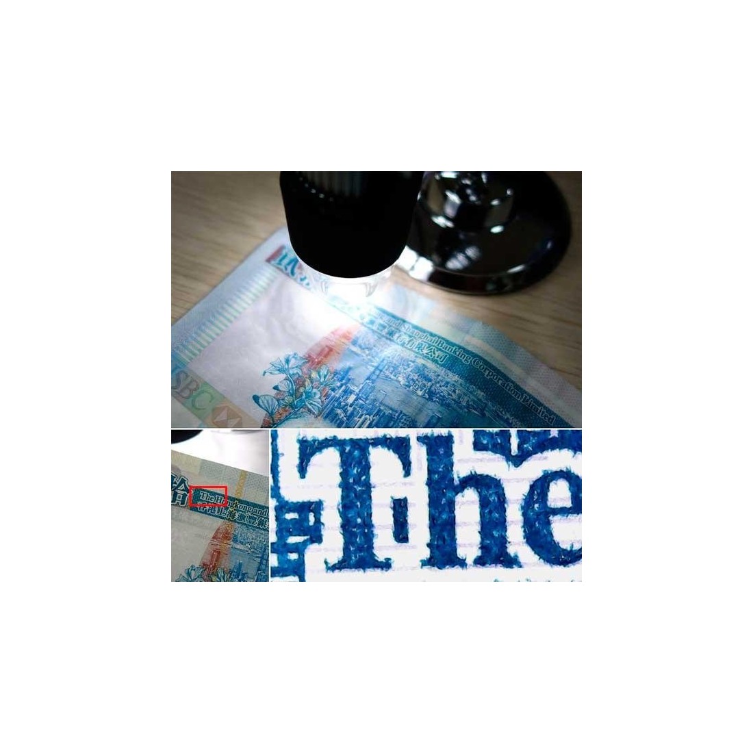 Microscopio USB digital 1000x