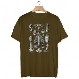 Haeckel mushrooms T-shirt