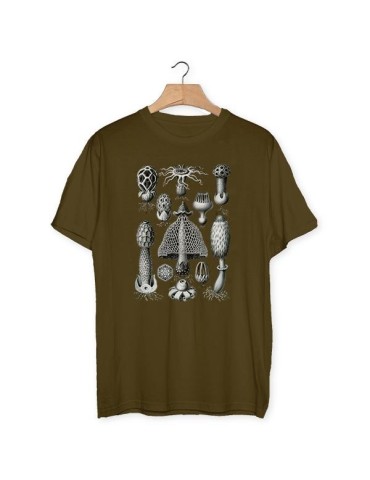 Camiseta Haeckel setas