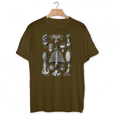 T-shirt avec champignons Haeckel