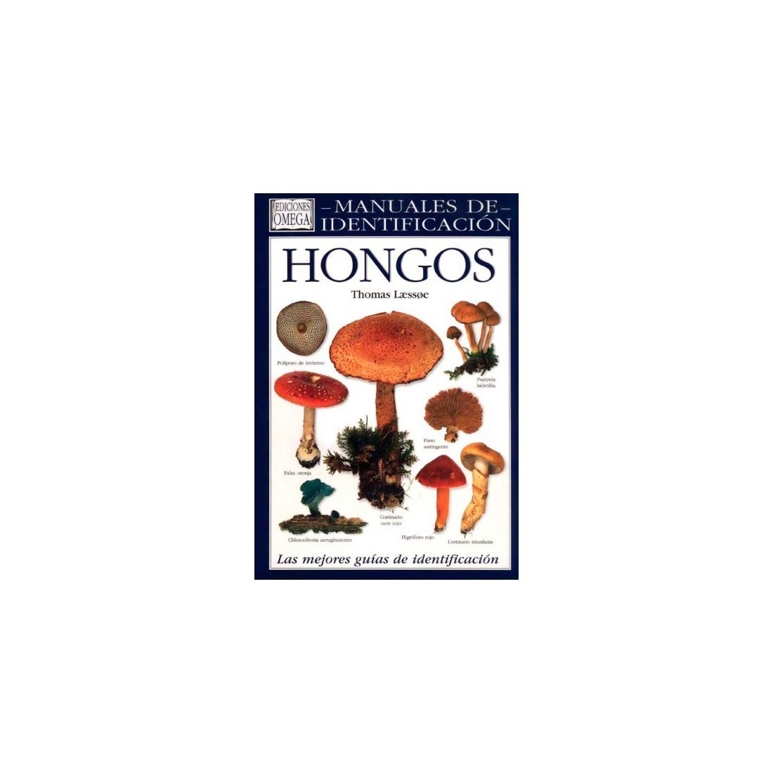 HONGOS Manual de Identificación HONGOS Manual de Identificación
