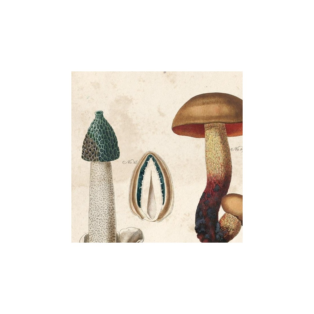 Reproduction of vintage mushrooms foil 003