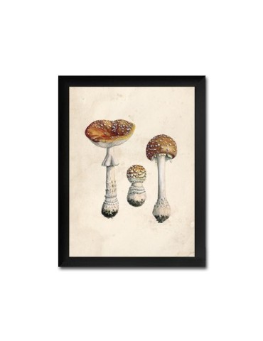 Reproduction of vintage mushrooms foil 004 2