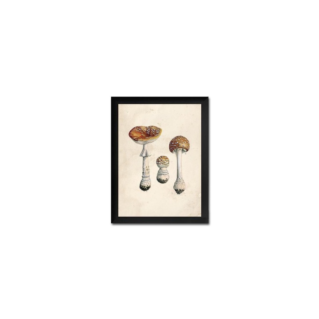 Reproduction of vintage mushrooms foil 004