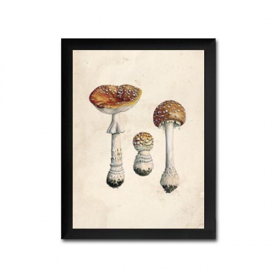 Reproduction of vintage mushrooms foil 004