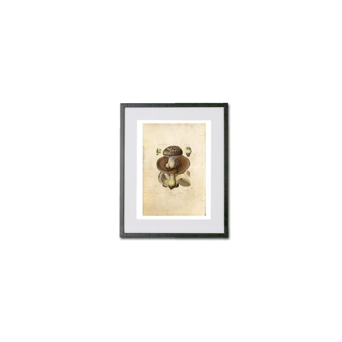 Reproduction of vintage mushrooms foil 005