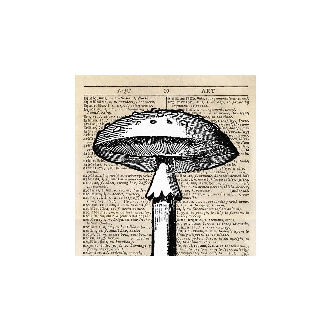 Reproducción lámina vintage setas 007