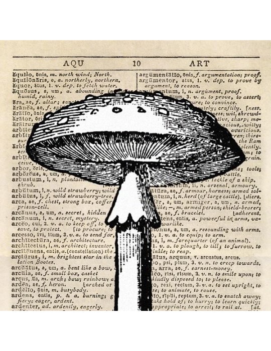 Reproduction of 007 mushrooms vintage plate