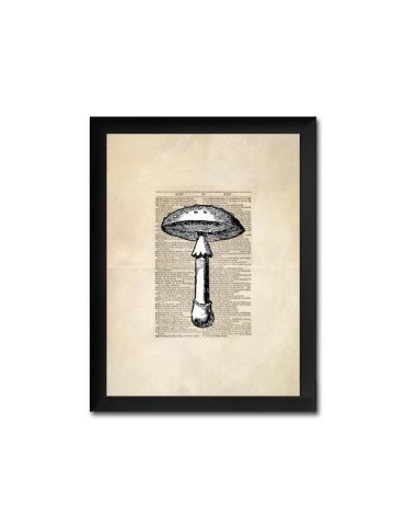 Reproduction de champignons en feuilles vintage 007 2