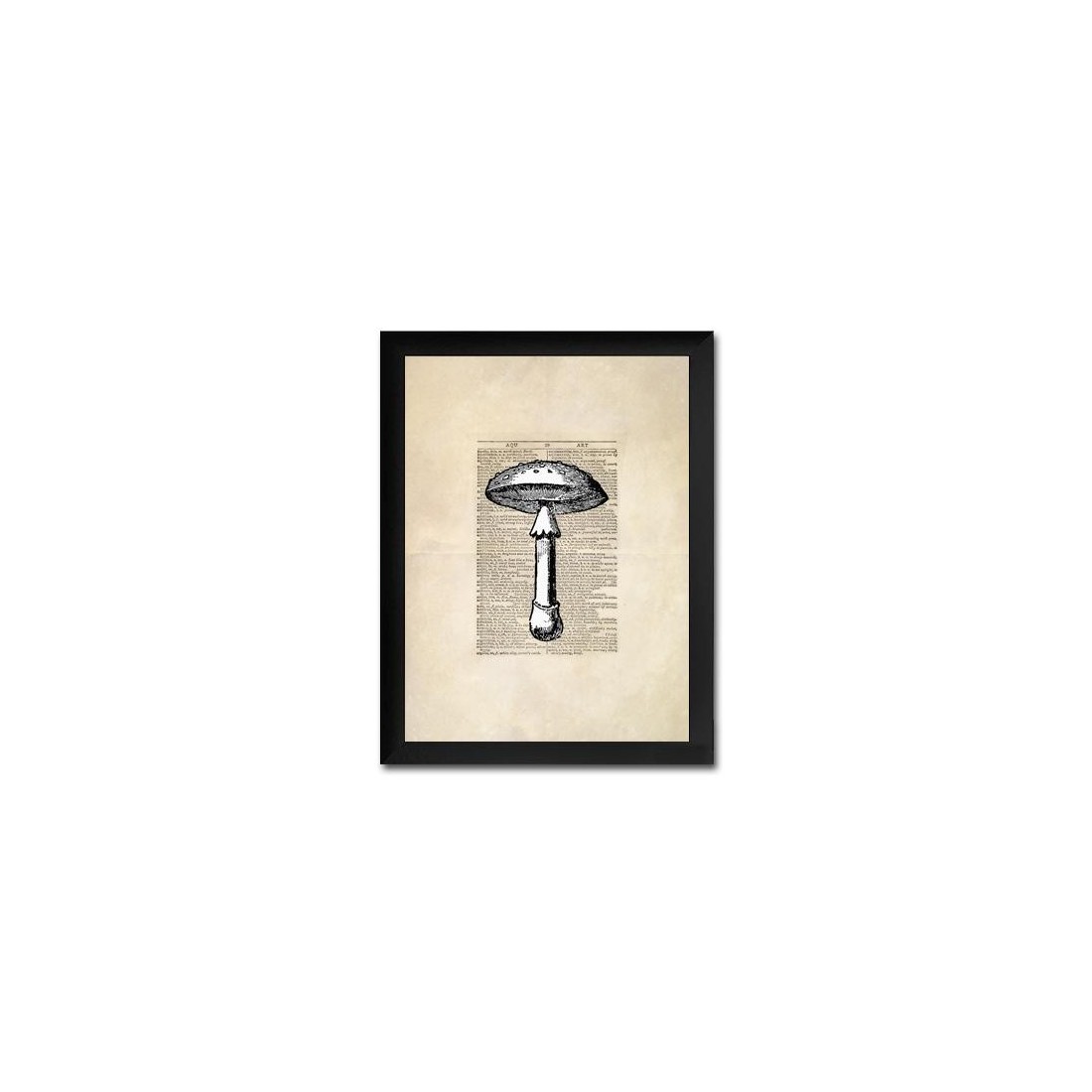 Reproduction de champignons en feuilles vintage 007