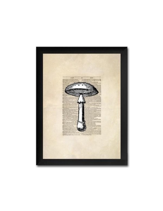 Reproduction de champignons en feuilles vintage 007