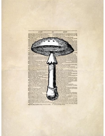 Reproduction of 007 mushrooms vintage plate