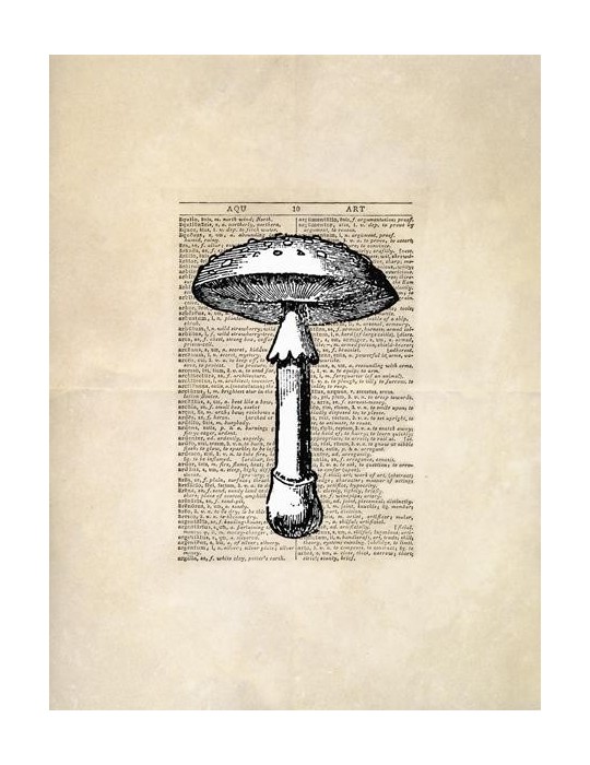 Reproduction de champignons en feuilles vintage 007