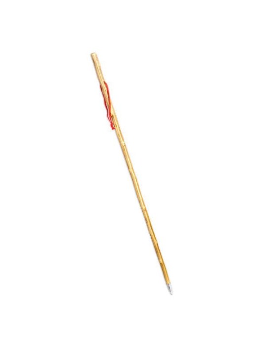 Cane mountain boy brun Cane mountain boy brun