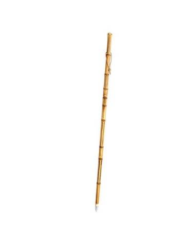 Bastón de bambú para buscar setas