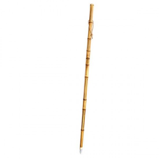 Bastón de bambú para buscar setas