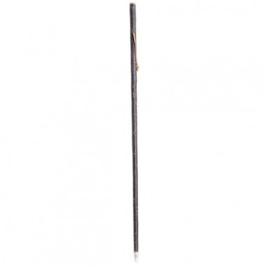 Chestnut skin cane for mushroom foraging