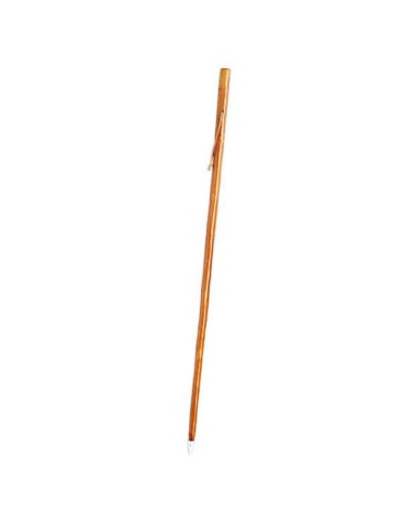 Dark brown cane for mushroom foraging