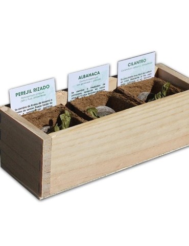 Aromatic Herbs Growing Kit 2