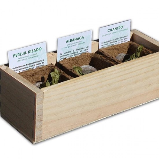 Aromatic Herbs Growing Kit