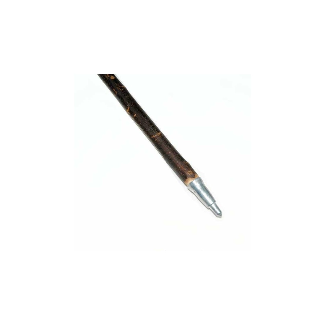 Chestnut brown gayato cane