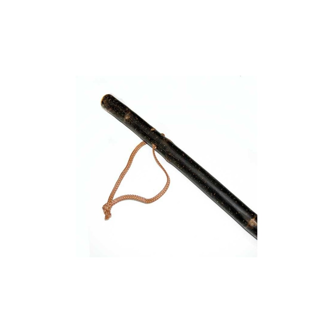 Chestnut skin cane for mushroom foraging