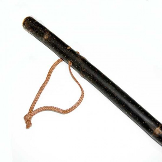 Chestnut skin cane for mushroom foraging