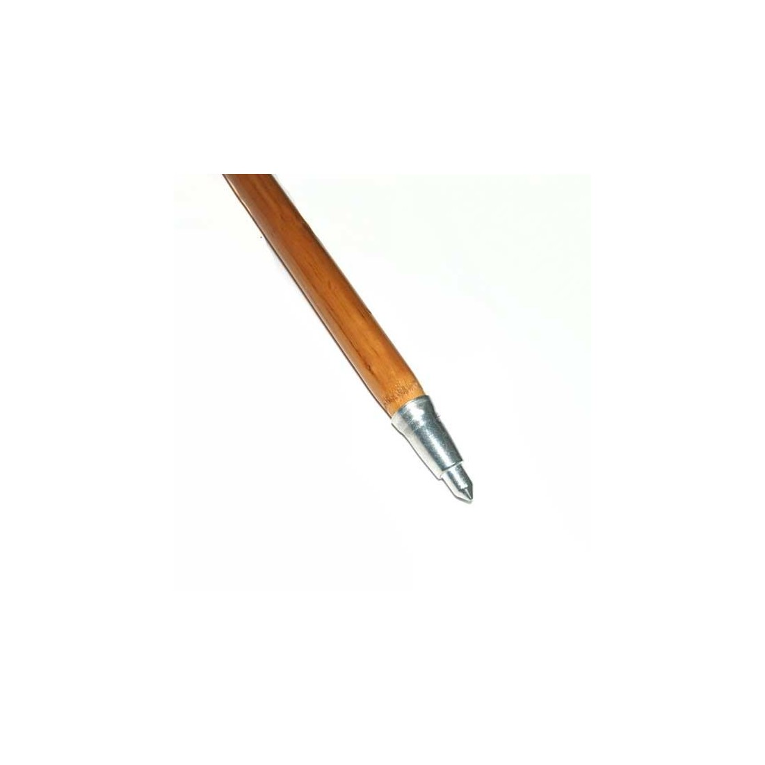 Light brown cane for mushroom foraging