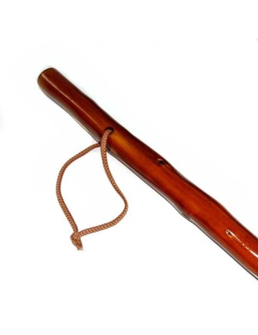 Dark brown cane for mushroom foraging 2