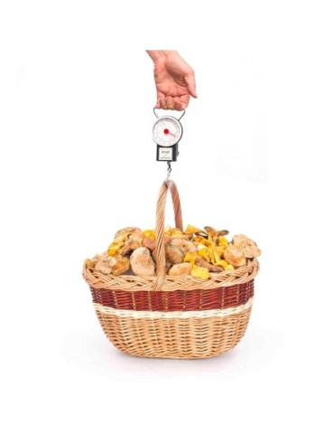 Analog basket scale
