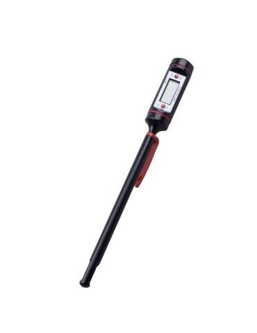 Thermomètre numérique portable 2