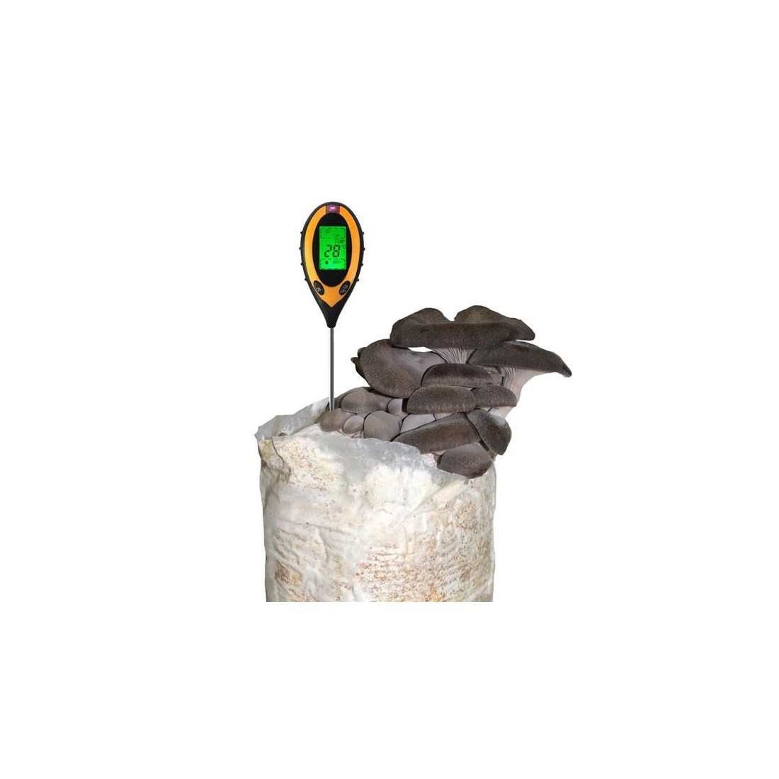 Digital soil PH meter
