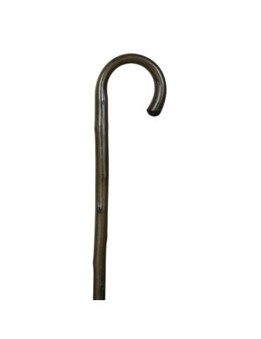 Green gayato cane with spike
